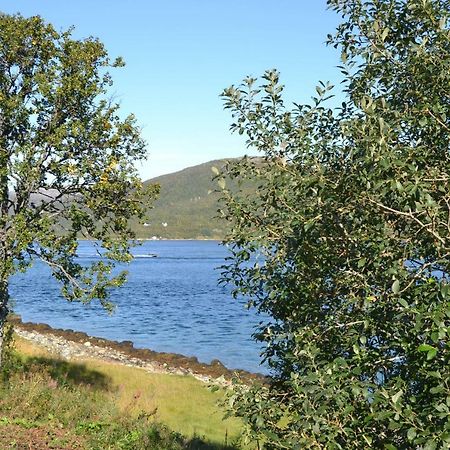 Kvaloya Lodge Futrikelv Экстерьер фото